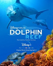 Dolphin Reef-voll