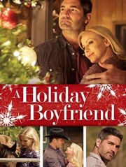 A Holiday Boyfriend-voll