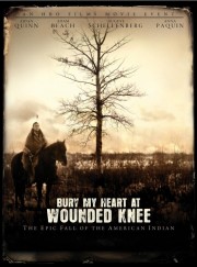 Bury My Heart at Wounded Knee-voll