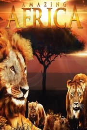 Amazing Africa-voll