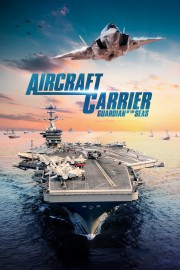 Aircraft Carrier: Guardian of the Seas-voll