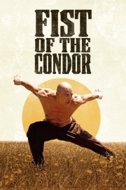 Fist of the Condor-voll