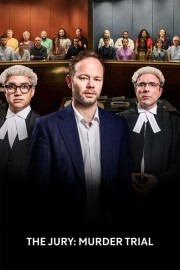 The Jury: Murder Trial-voll