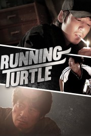 Running Turtle-voll