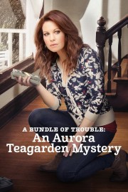 A Bundle of Trouble: An Aurora Teagarden Mystery-voll