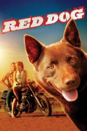 Red Dog-voll