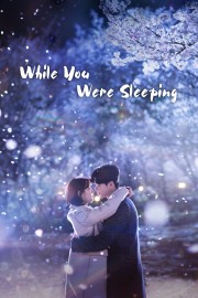 While You Were Sleeping-voll