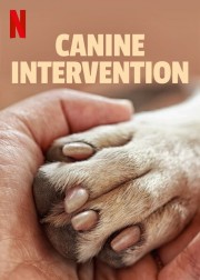 Canine Intervention-voll