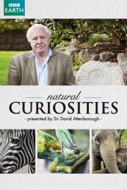 David Attenborough's Natural Curiosities-voll
