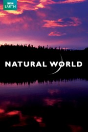 Natural World-voll