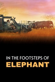 In the Footsteps of Elephant-voll