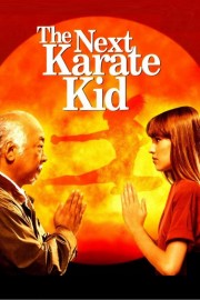 The Next Karate Kid-voll