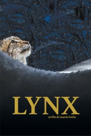 Lynx-voll