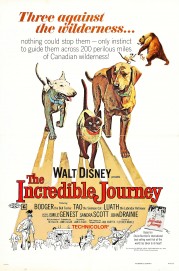 The Incredible Journey-voll