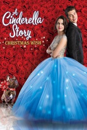 A Cinderella Story: Christmas Wish-voll