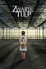 Black Tulip-voll