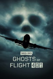Ghosts of Flight 401-voll