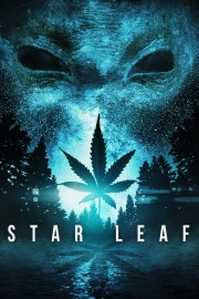Star Leaf-voll