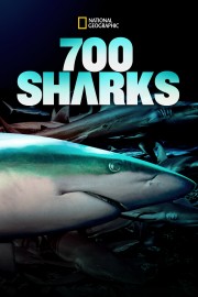 700 Sharks-voll