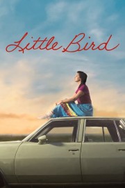 Little Bird-voll