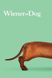 Wiener-Dog-voll