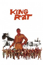 King Rat-voll