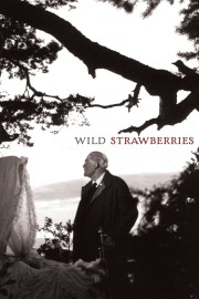 Wild Strawberries-voll