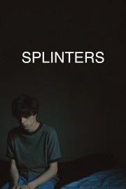 Splinters-voll