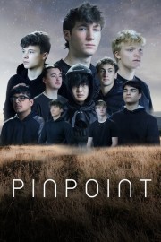 Pinpoint-voll