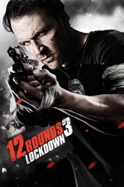 12 Rounds 3: Lockdown-voll