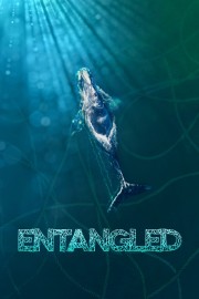 Entangled: The Race to Save Right Whales from Extinction-voll