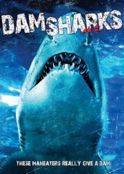 Dam Sharks!-voll