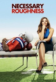 Necessary Roughness-voll