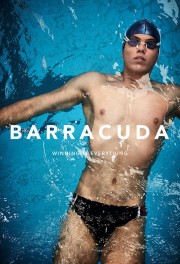 Barracuda-voll