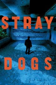 Stray Dogs-voll