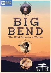 Big Bend: The Wild Frontier of Texas-voll