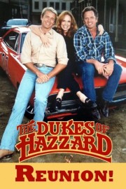 The Dukes of Hazzard: Reunion!-voll