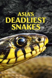 Asia's Deadliest Snakes-voll