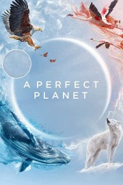 A Perfect Planet-voll