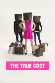 The True Cost-voll