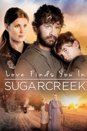 Love Finds You In Sugarcreek-voll
