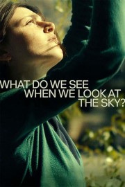 What Do We See When We Look at the Sky?-voll