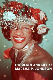 The Death and Life of Marsha P. Johnson-voll