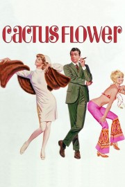 Cactus Flower-voll