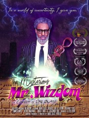 The Mysterious Mr. Wizdom-voll