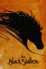 The Black Stallion-voll