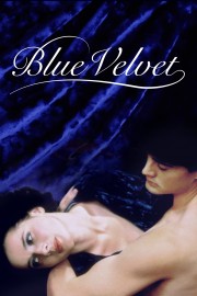 Blue Velvet-voll