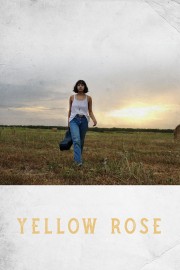 Yellow Rose-voll