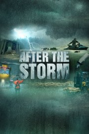 After the Storm-voll