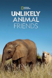 Unlikely Animal Friends-voll